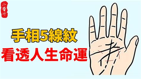 家風紋|手掌上紋線所代表的意義－心理暨命理師 提摩揚(Timoyang) 的不。